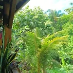 Chez Ayusha