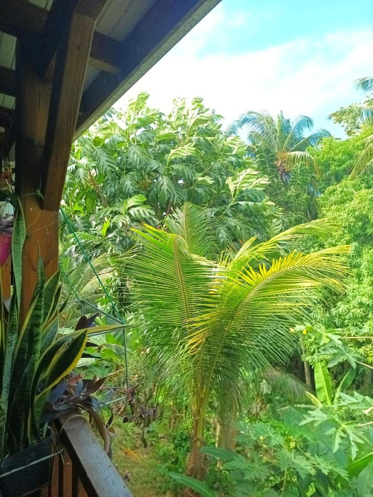 Chez Ayusha Appartement *