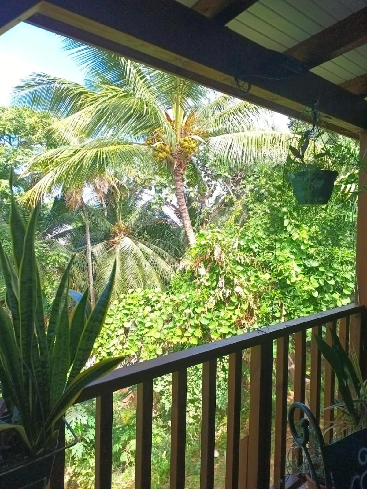 Appartement Chez Ayusha *